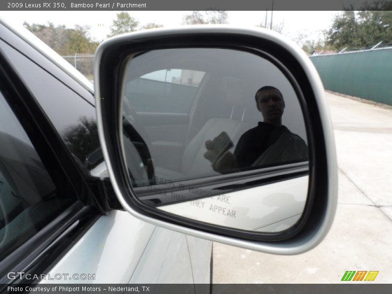 Bamboo Pearl / Parchment 2009 Lexus RX 350