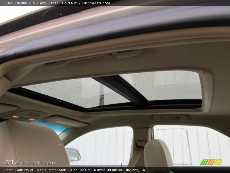 Gold Mist / Cashmere/Cocoa 2009 Cadillac CTS 4 AWD Sedan