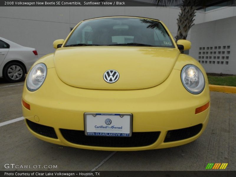 Sunflower Yellow / Black 2008 Volkswagen New Beetle SE Convertible