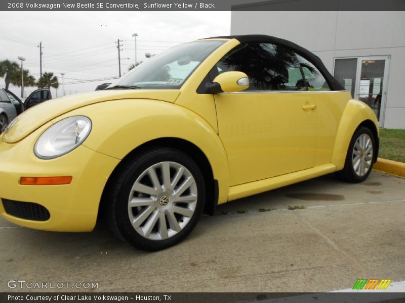 Sunflower Yellow / Black 2008 Volkswagen New Beetle SE Convertible