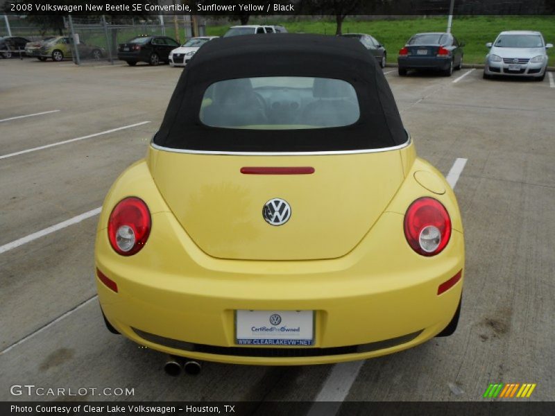 Sunflower Yellow / Black 2008 Volkswagen New Beetle SE Convertible