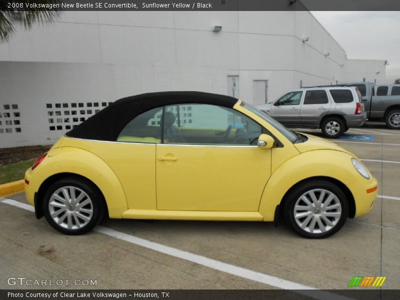 Sunflower Yellow / Black 2008 Volkswagen New Beetle SE Convertible