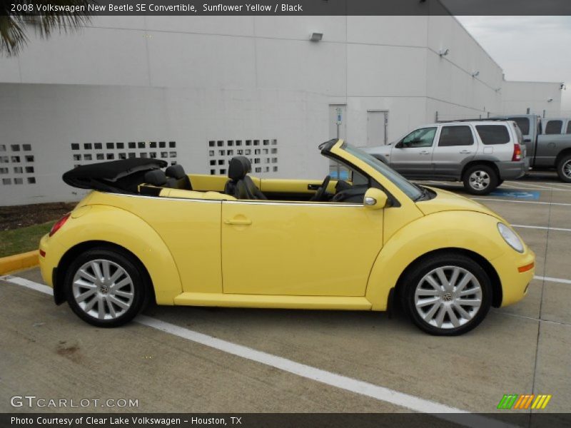 Sunflower Yellow / Black 2008 Volkswagen New Beetle SE Convertible