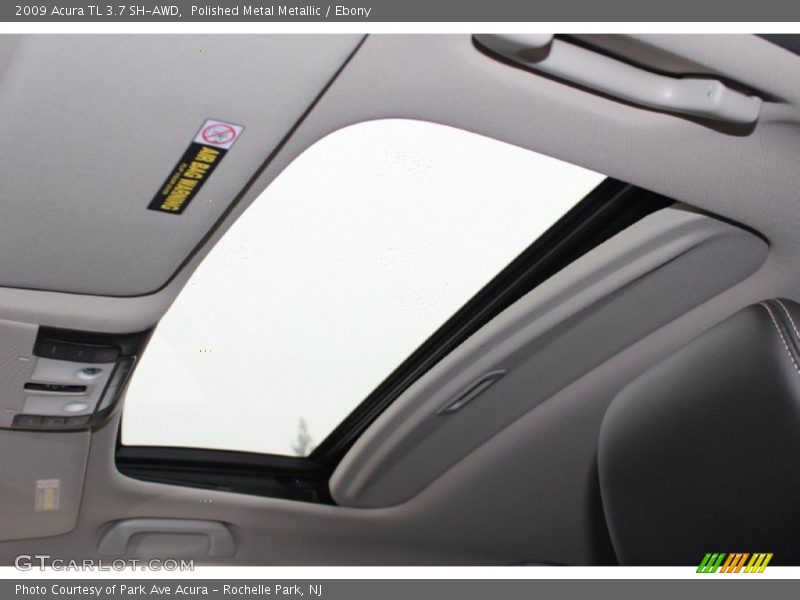 Polished Metal Metallic / Ebony 2009 Acura TL 3.7 SH-AWD