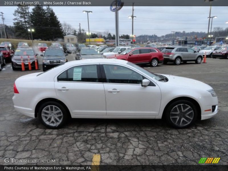 White Suede / Charcoal Black 2012 Ford Fusion SEL