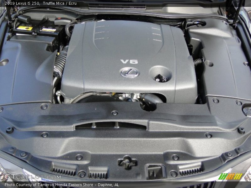Truffle Mica / Ecru 2009 Lexus IS 250