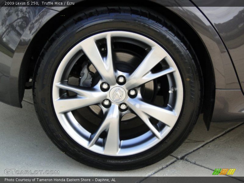 Truffle Mica / Ecru 2009 Lexus IS 250