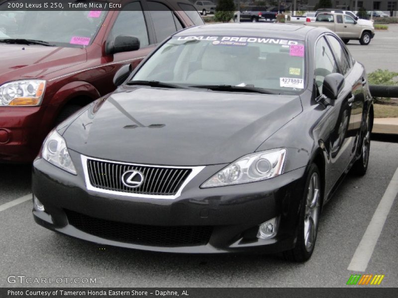 Truffle Mica / Ecru 2009 Lexus IS 250