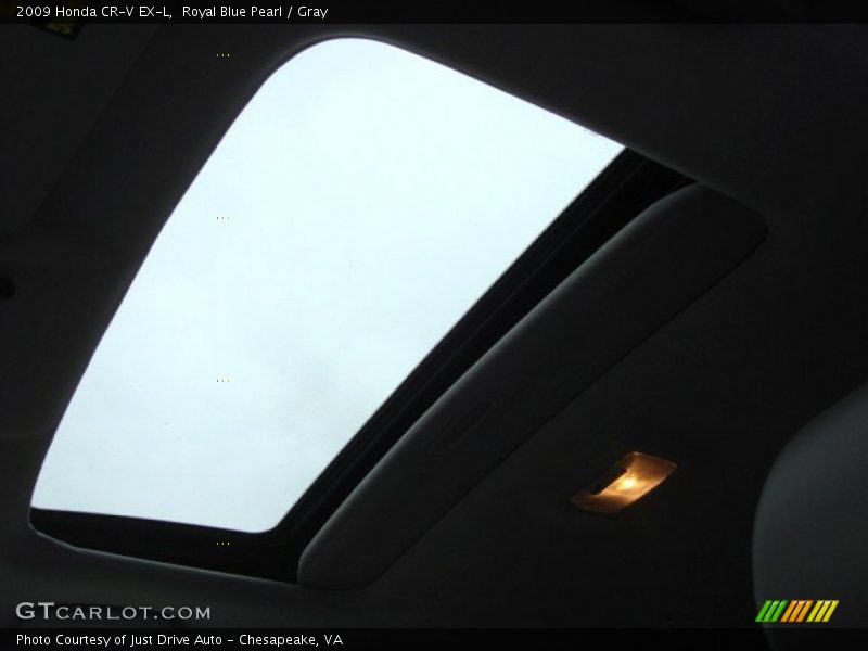 Royal Blue Pearl / Gray 2009 Honda CR-V EX-L