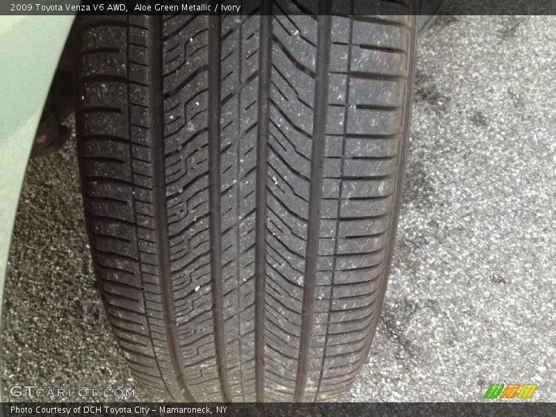 Aloe Green Metallic / Ivory 2009 Toyota Venza V6 AWD