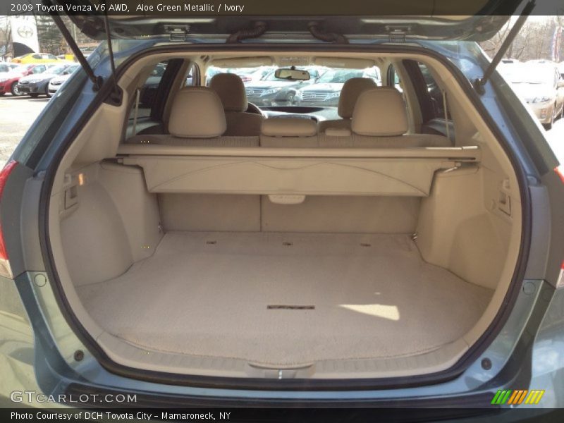 Aloe Green Metallic / Ivory 2009 Toyota Venza V6 AWD