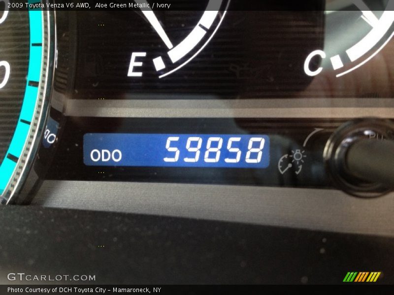 Aloe Green Metallic / Ivory 2009 Toyota Venza V6 AWD