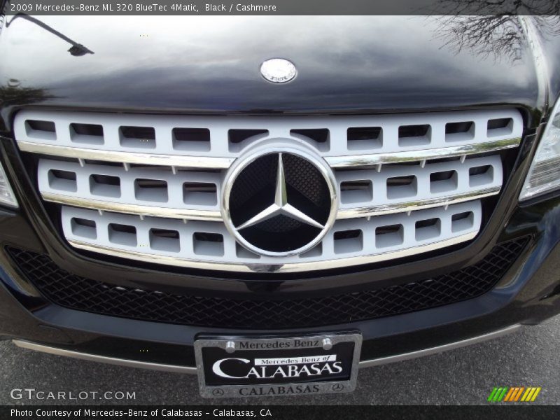 Black / Cashmere 2009 Mercedes-Benz ML 320 BlueTec 4Matic