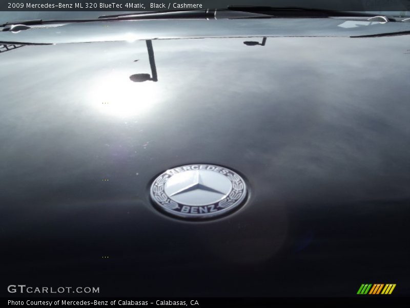 Black / Cashmere 2009 Mercedes-Benz ML 320 BlueTec 4Matic