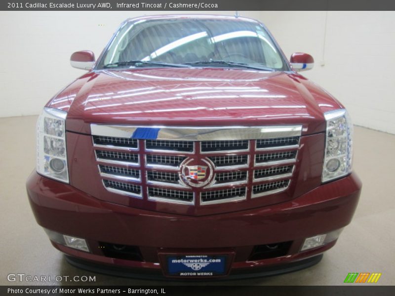 Infrared Tincoat / Cashmere/Cocoa 2011 Cadillac Escalade Luxury AWD