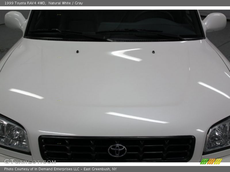 Natural White / Gray 1999 Toyota RAV4 4WD