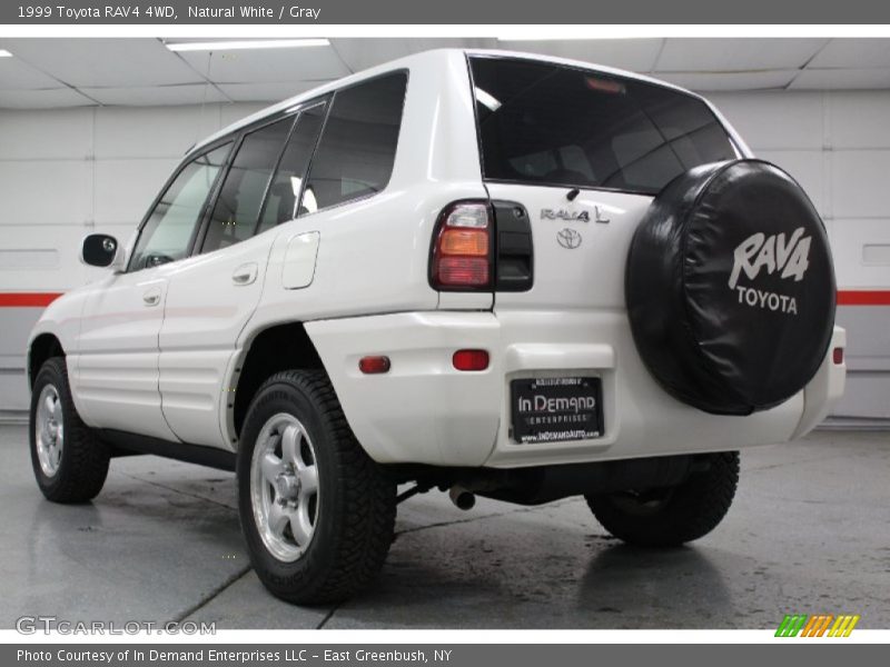 Natural White / Gray 1999 Toyota RAV4 4WD