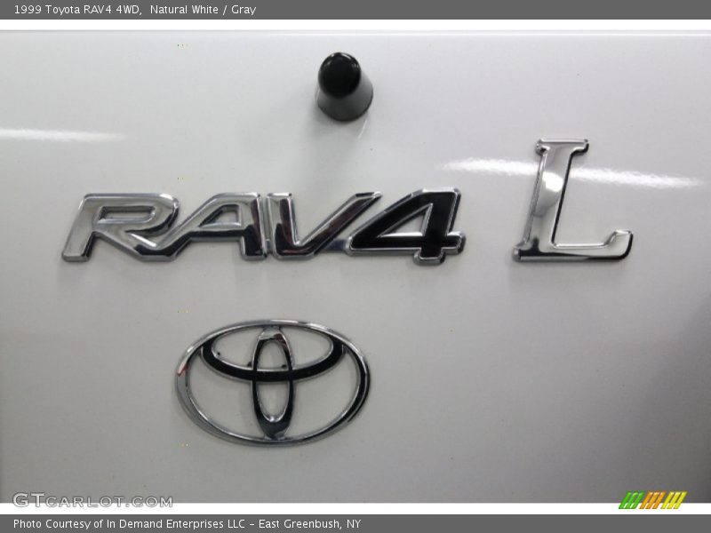 Natural White / Gray 1999 Toyota RAV4 4WD