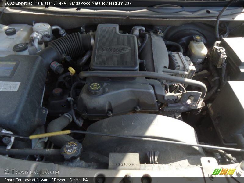 Sandalwood Metallic / Medium Oak 2002 Chevrolet TrailBlazer LT 4x4