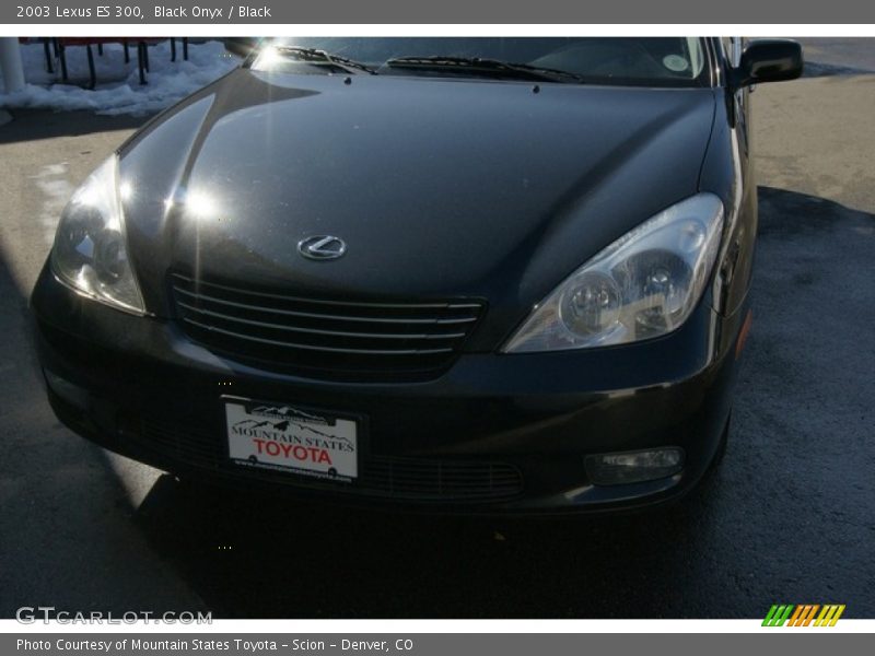 Black Onyx / Black 2003 Lexus ES 300