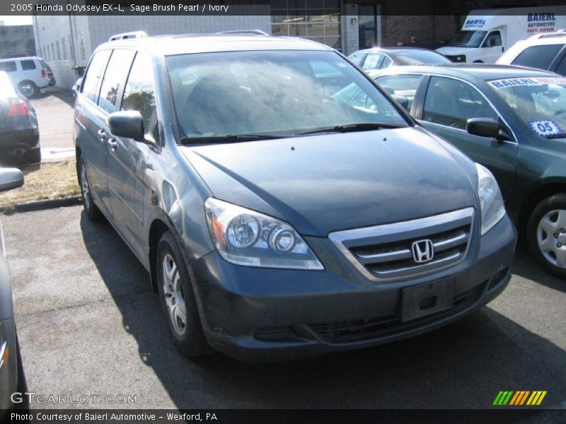 Sage Brush Pearl / Ivory 2005 Honda Odyssey EX-L