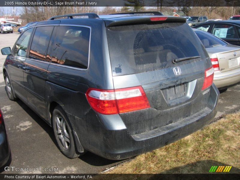 Sage Brush Pearl / Ivory 2005 Honda Odyssey EX-L