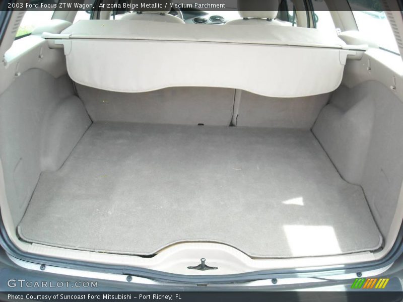 Arizona Beige Metallic / Medium Parchment 2003 Ford Focus ZTW Wagon