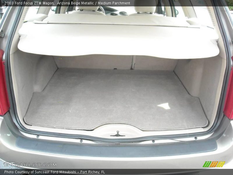 Arizona Beige Metallic / Medium Parchment 2003 Ford Focus ZTW Wagon