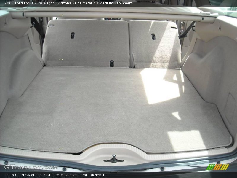Arizona Beige Metallic / Medium Parchment 2003 Ford Focus ZTW Wagon