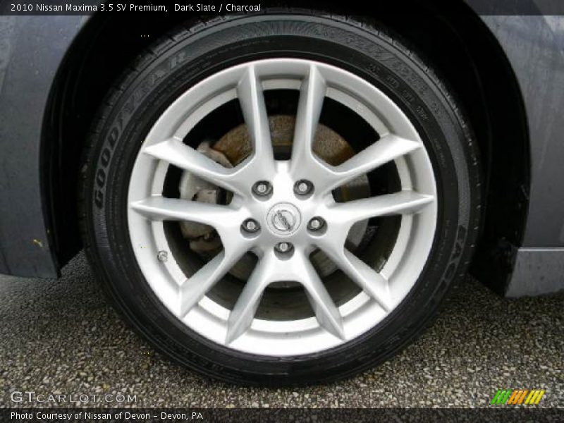 Dark Slate / Charcoal 2010 Nissan Maxima 3.5 SV Premium