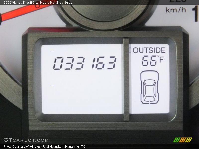 Mocha Metallic / Beige 2009 Honda Pilot EX-L