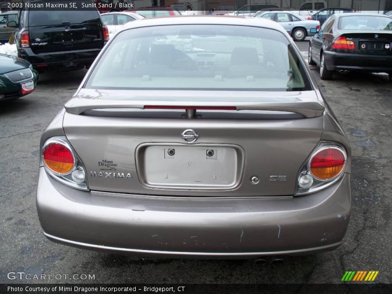 Sunlit Sand / Black 2003 Nissan Maxima SE