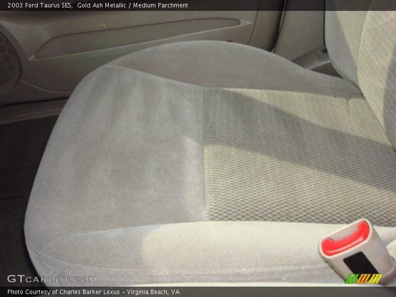 Gold Ash Metallic / Medium Parchment 2003 Ford Taurus SES