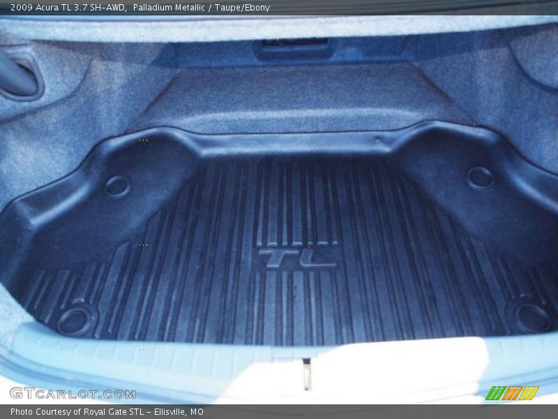 Palladium Metallic / Taupe/Ebony 2009 Acura TL 3.7 SH-AWD