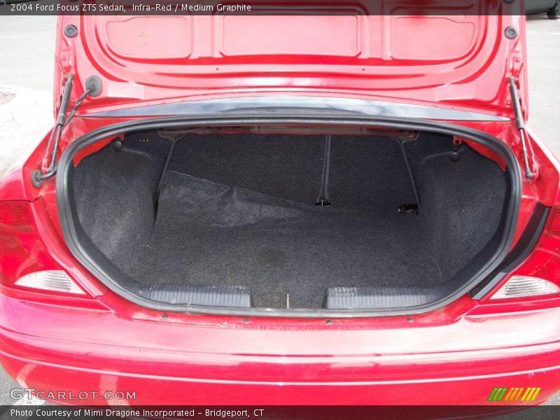 Infra-Red / Medium Graphite 2004 Ford Focus ZTS Sedan