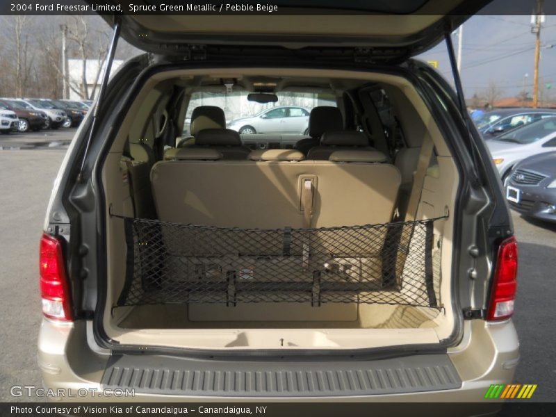 Spruce Green Metallic / Pebble Beige 2004 Ford Freestar Limited