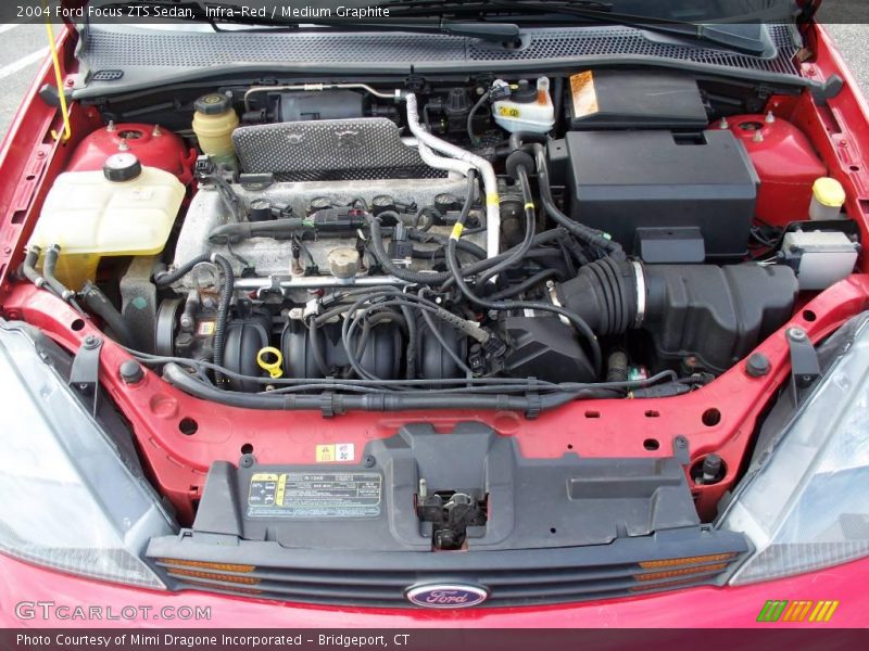 Infra-Red / Medium Graphite 2004 Ford Focus ZTS Sedan