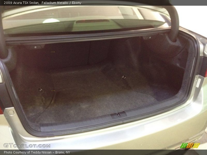 Palladium Metallic / Ebony 2009 Acura TSX Sedan