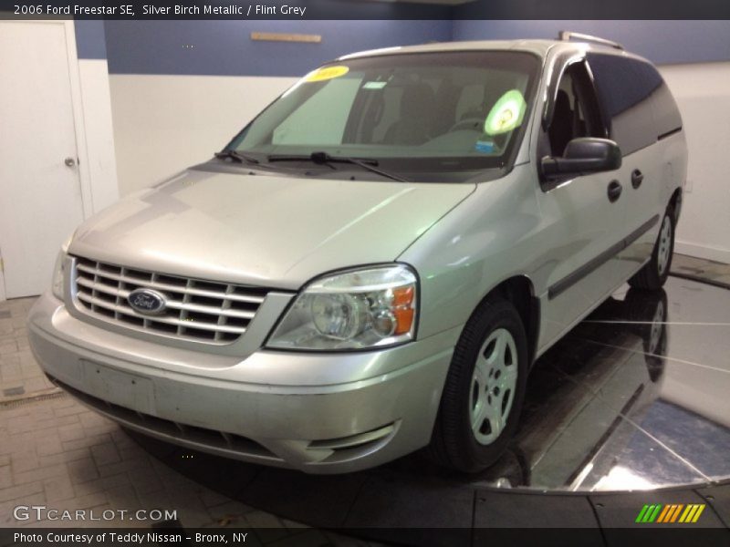 Silver Birch Metallic / Flint Grey 2006 Ford Freestar SE