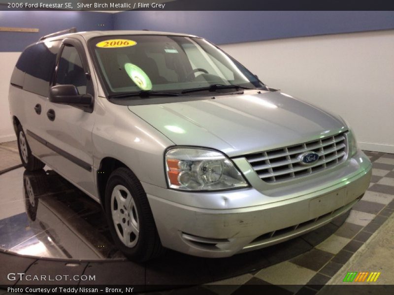 Silver Birch Metallic / Flint Grey 2006 Ford Freestar SE