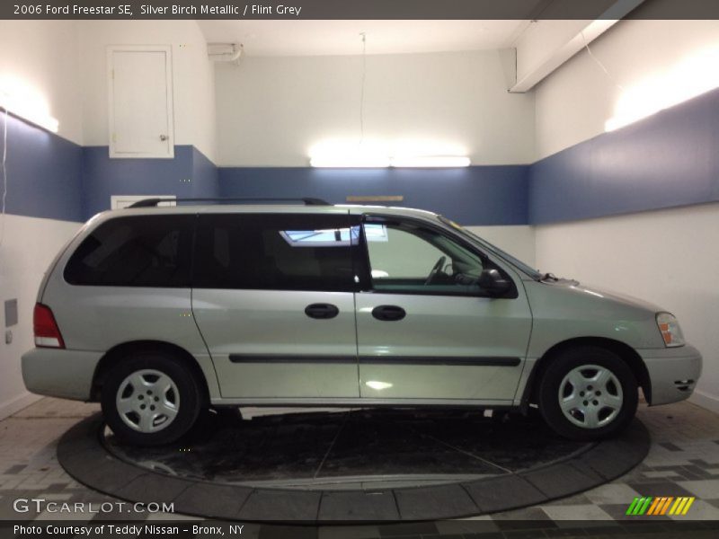 Silver Birch Metallic / Flint Grey 2006 Ford Freestar SE