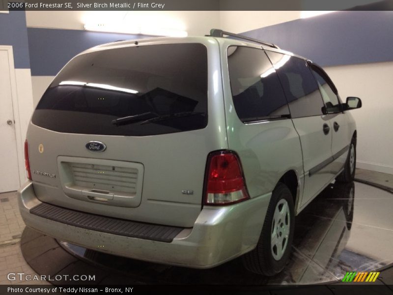 Silver Birch Metallic / Flint Grey 2006 Ford Freestar SE
