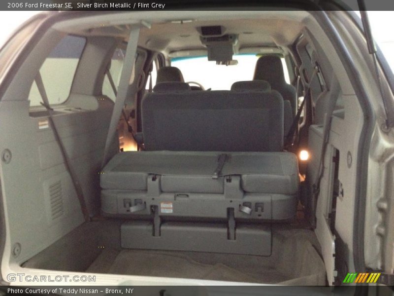 Silver Birch Metallic / Flint Grey 2006 Ford Freestar SE