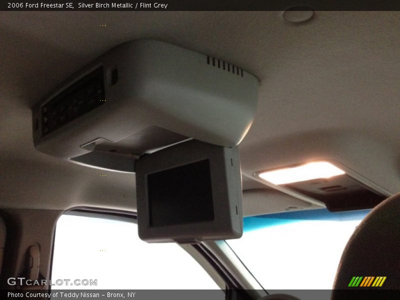 Silver Birch Metallic / Flint Grey 2006 Ford Freestar SE