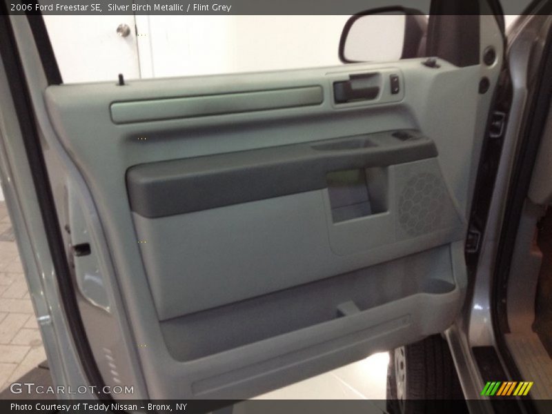 Silver Birch Metallic / Flint Grey 2006 Ford Freestar SE