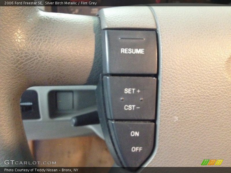 Silver Birch Metallic / Flint Grey 2006 Ford Freestar SE