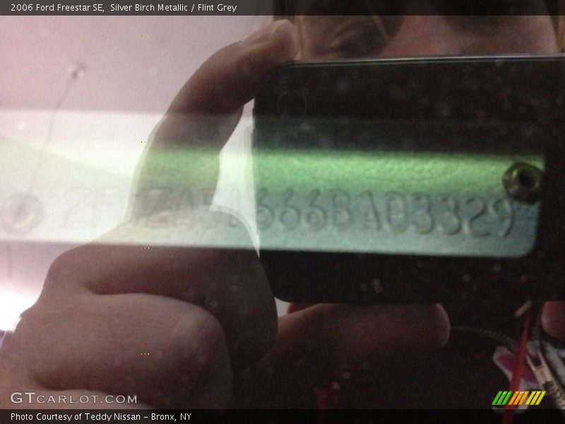Silver Birch Metallic / Flint Grey 2006 Ford Freestar SE