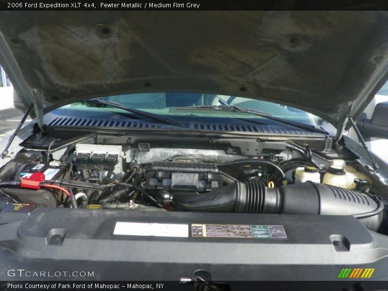 Pewter Metallic / Medium Flint Grey 2006 Ford Expedition XLT 4x4
