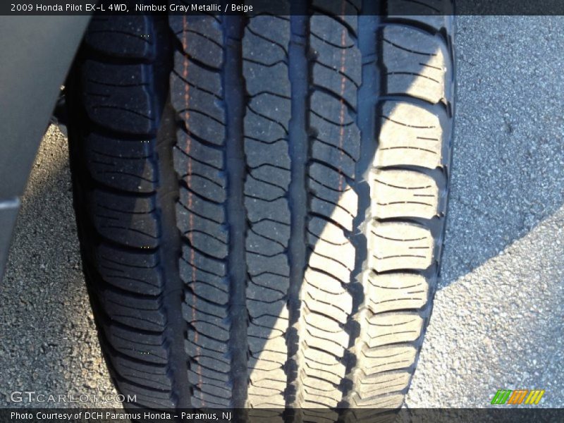 Nimbus Gray Metallic / Beige 2009 Honda Pilot EX-L 4WD