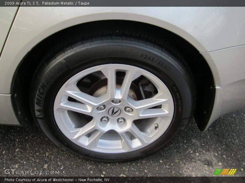 Palladium Metallic / Taupe 2009 Acura TL 3.5